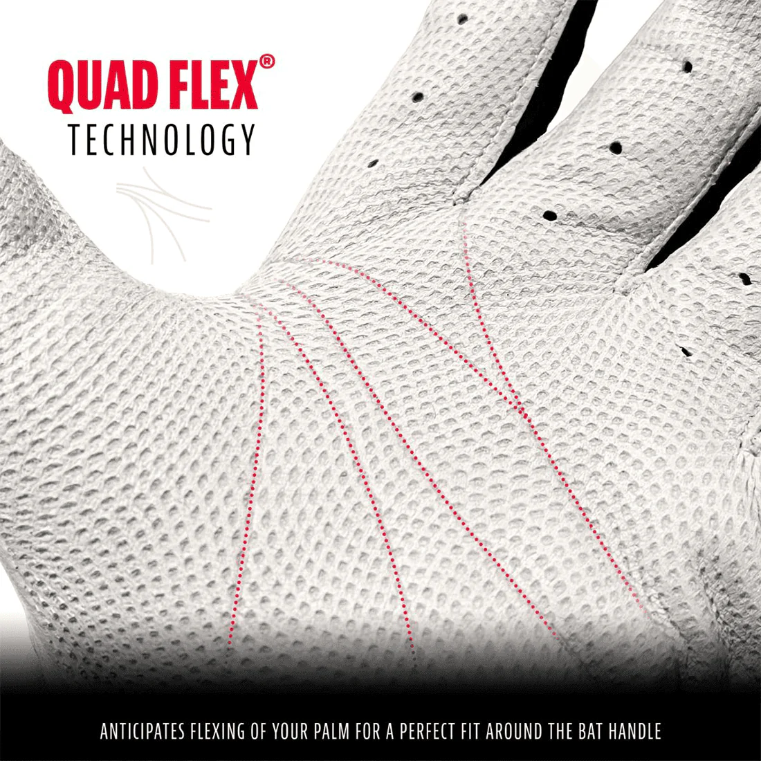 Franklin CFX Pro Black/White Batting Gloves: 10570F - Image 4