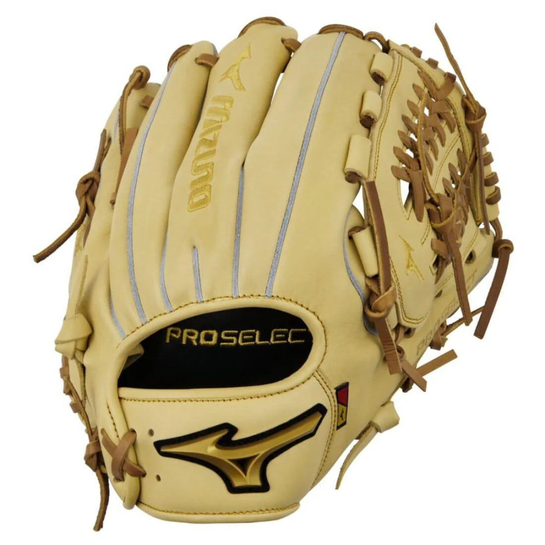 Mizuno Pro Select 12" Premium Infield Baseball Glove: GPS-10D